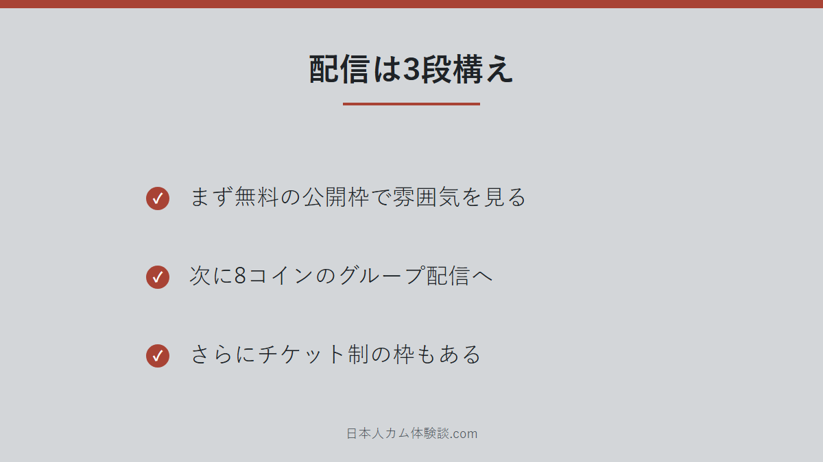 _chanMOMO_さんの配信の段階のまとめ画像