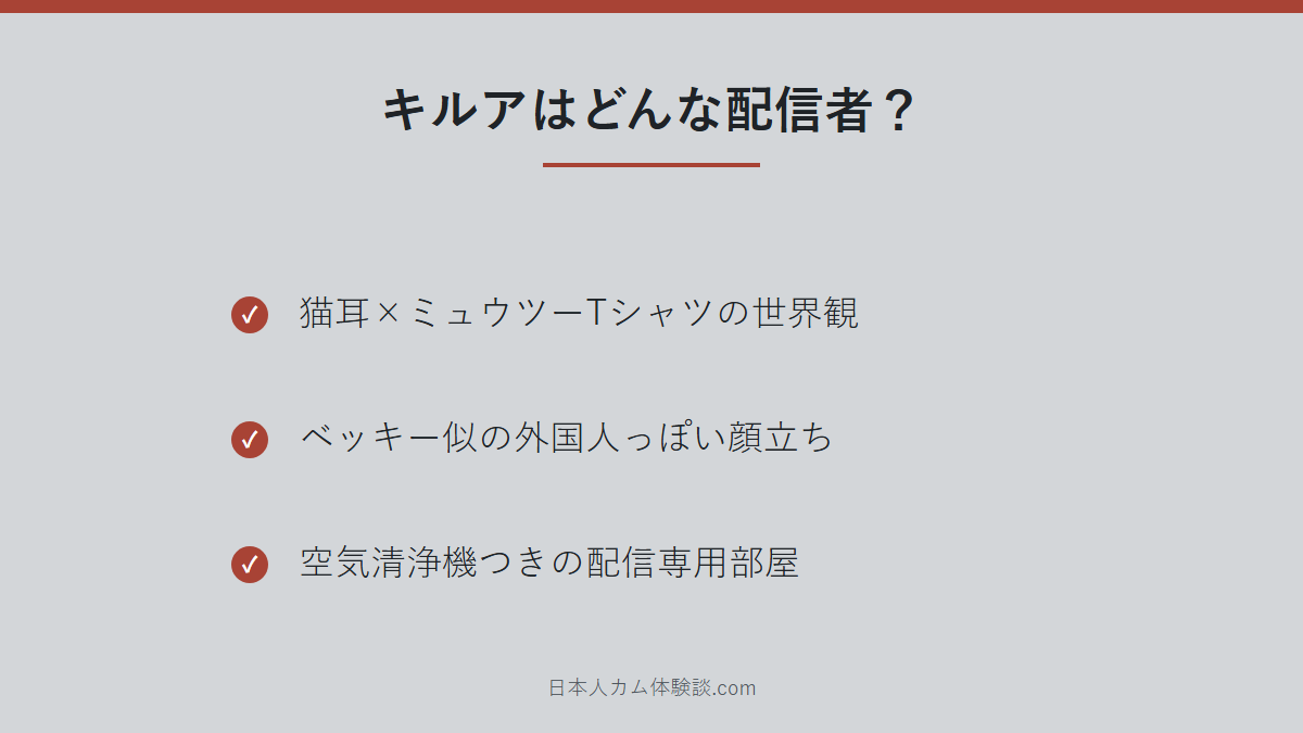 どんな配信者かのまとめ画像