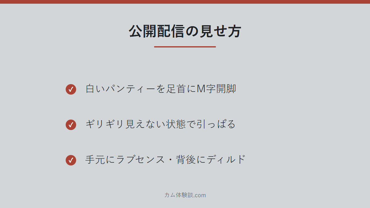 Sanaさんの公開配信の見せ方のまとめ画像