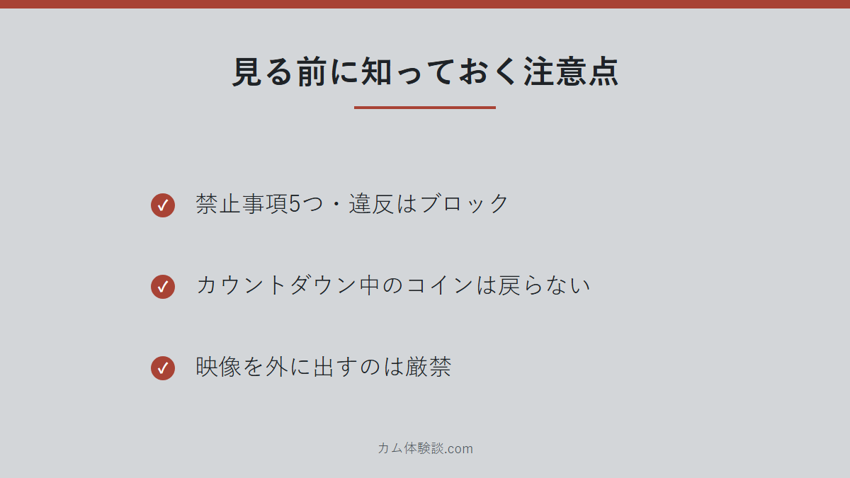 Sanaさんの注意点のまとめ画像